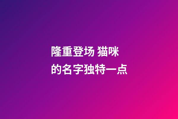 隆重登场 猫咪的名字独特一点